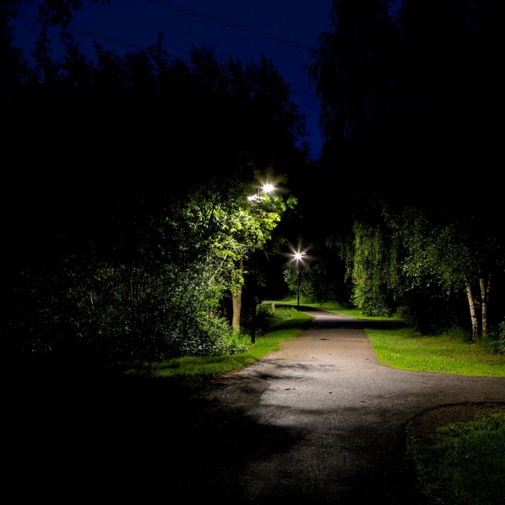 Park med mörkt runt och belysning längs vägen. Foto: Johan Larsson.