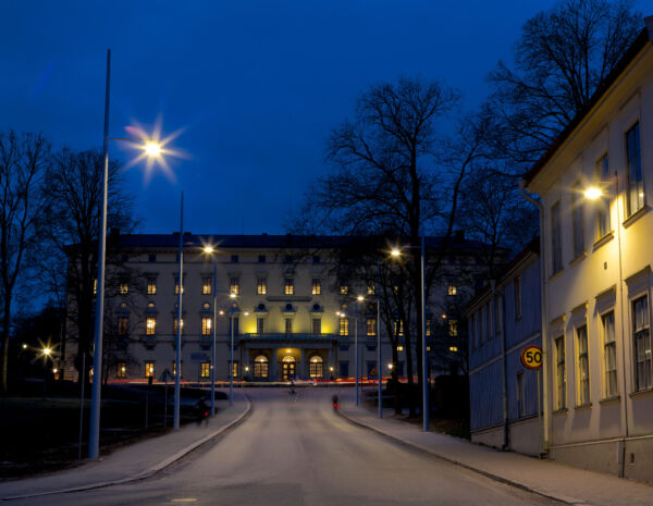 Paradstolpar från Moramast i Carolinabacken i Uppsala. Foto: Johan Larsson.